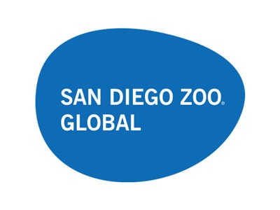 save-giraffes-san-diego-zoo