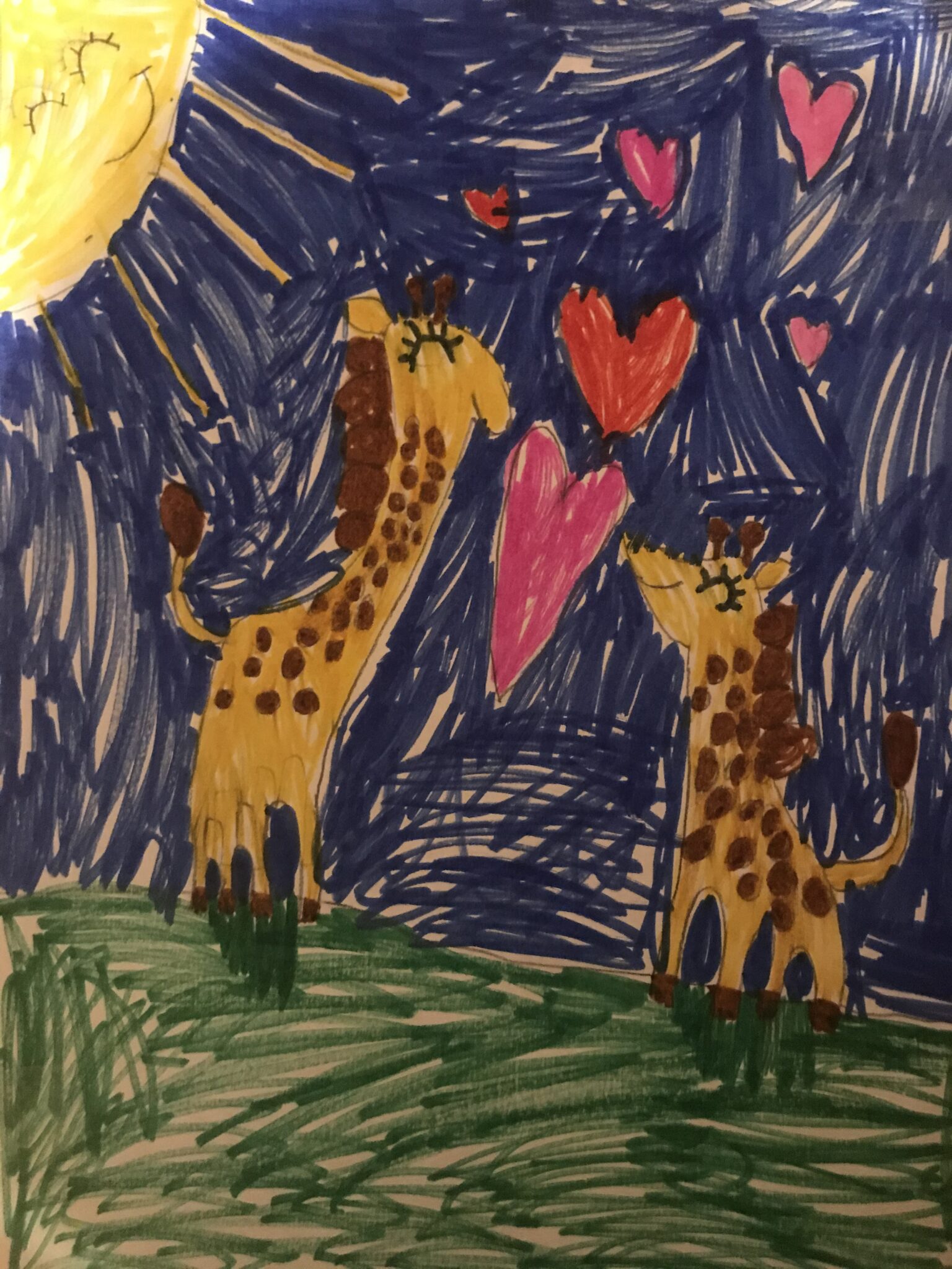 novel west with giraffes