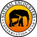 NECF-Logo