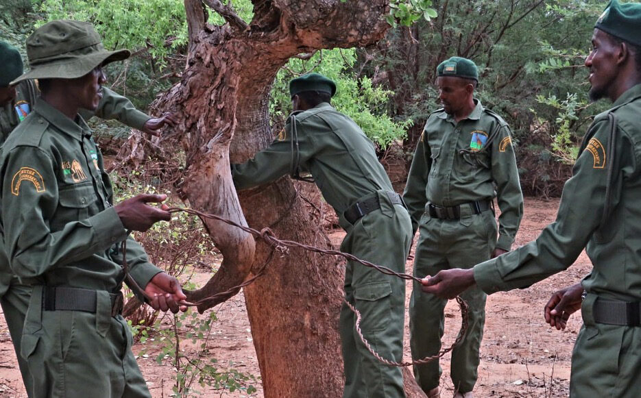 Kamuthe-Conservancy Kamuthe Conservancy