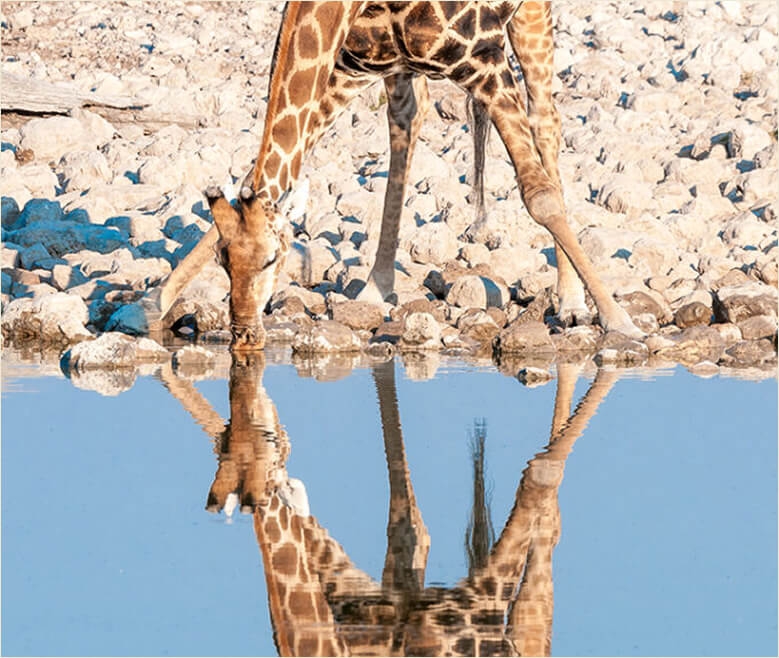 Improving Water Sources