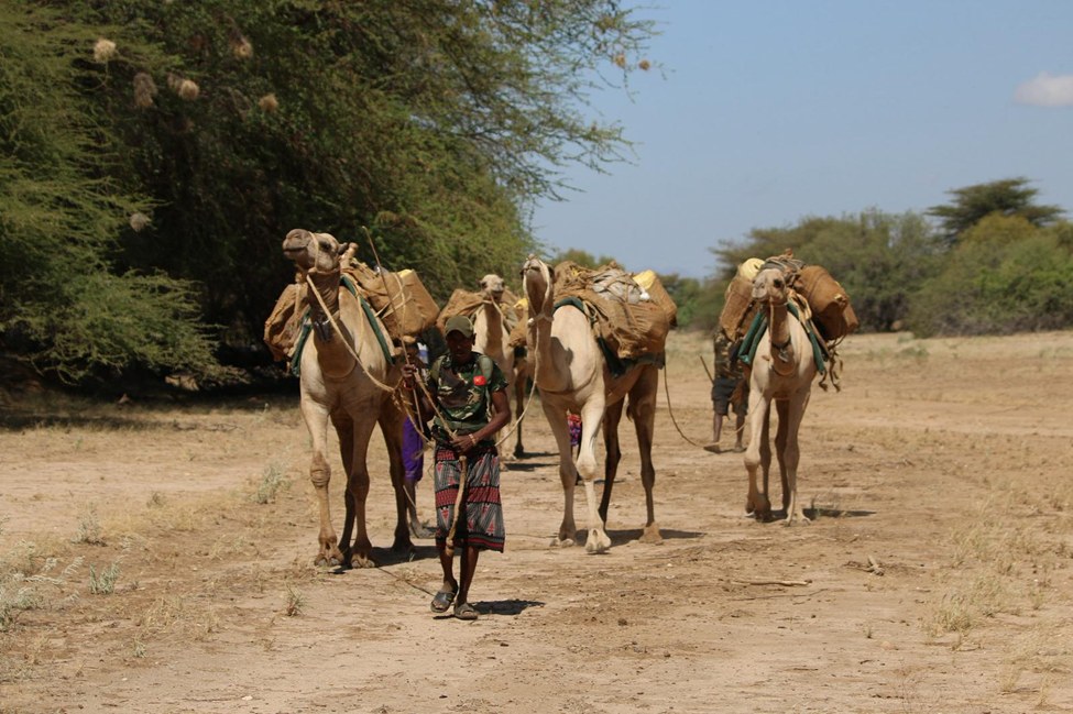 Milgis Community Scouts on desert patrol Milgis Community Scouts on desert patrol