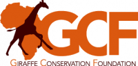 gcf-logo_313x150